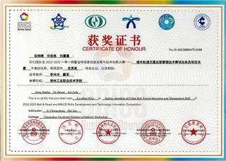 一带一路优秀奖